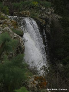Favare santa Venera